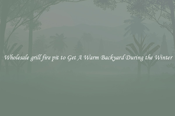 Wholesale grill fire pit to Get A Warm Backyard During the Winter