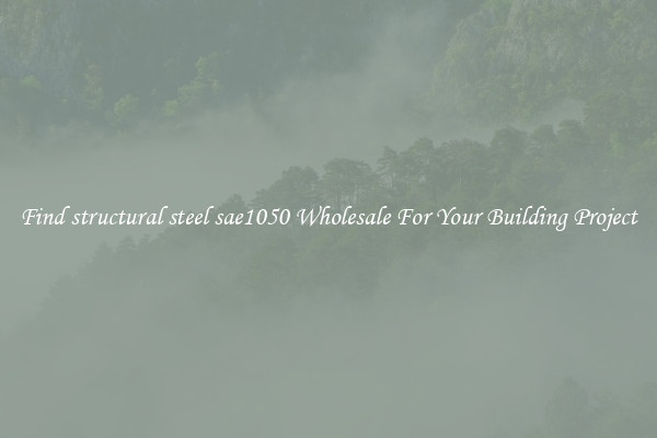 Find structural steel sae1050 Wholesale For Your Building Project