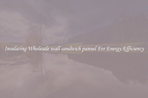 Insulating Wholesale wall sandwich pannel For Energy Efficiency