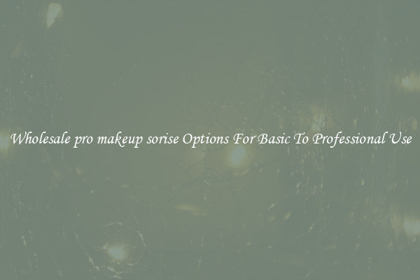 Wholesale pro makeup sorise Options For Basic To Professional Use
