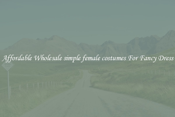 Affordable Wholesale simple female costumes For Fancy Dress