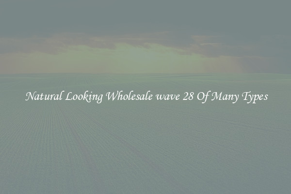 Natural Looking Wholesale wave 28 Of Many Types