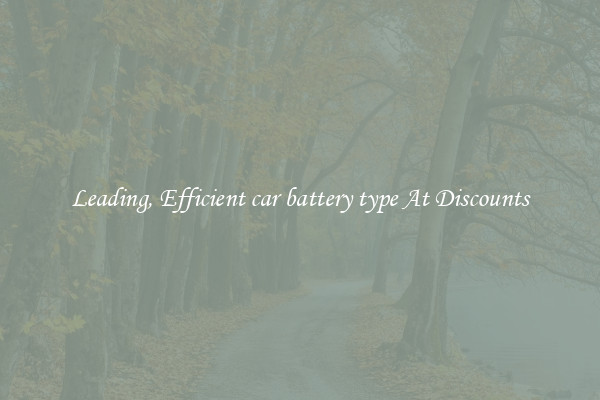 Leading, Efficient car battery type At Discounts