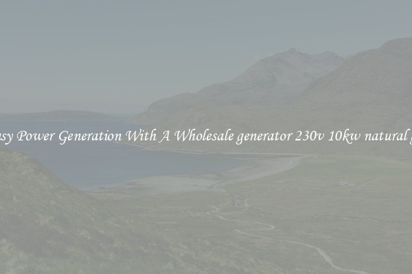 Easy Power Generation With A Wholesale generator 230v 10kw natural gas
