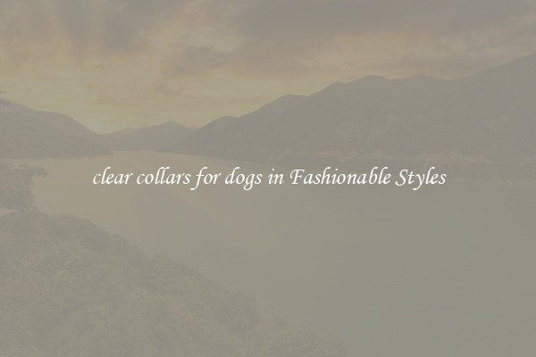 clear collars for dogs in Fashionable Styles