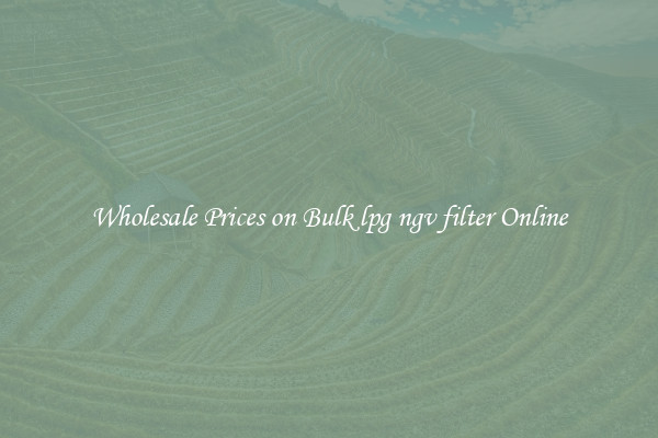 Wholesale Prices on Bulk lpg ngv filter Online