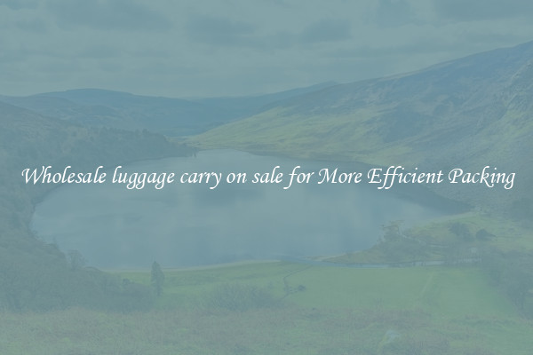 Wholesale luggage carry on sale for More Efficient Packing
