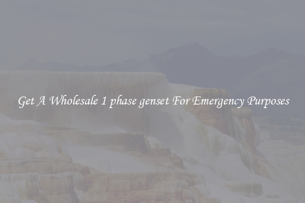 Get A Wholesale 1 phase genset For Emergency Purposes