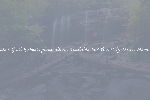 Wholesale self stick sheets photo album Available For Your Trip Down Memory Lane