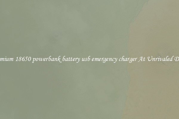 Premium 18650 powerbank battery usb emergency charger At Unrivaled Deals