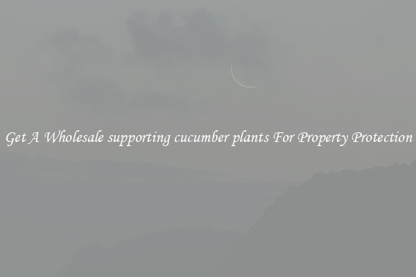 Get A Wholesale supporting cucumber plants For Property Protection