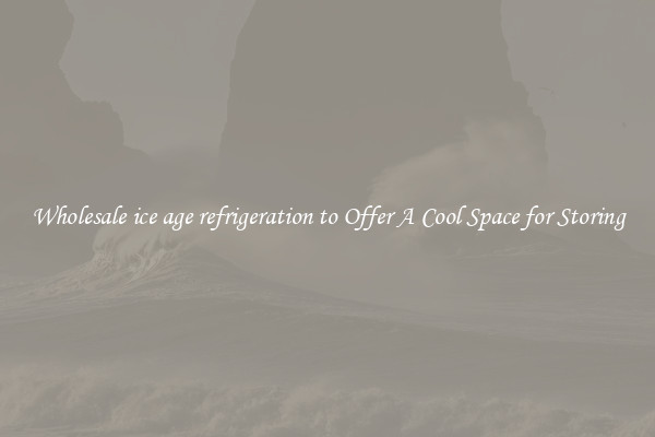 Wholesale ice age refrigeration to Offer A Cool Space for Storing