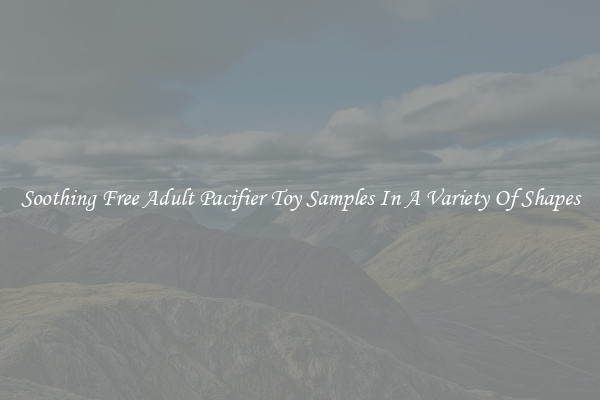 Soothing Free Adult Pacifier Toy Samples In A Variety Of Shapes