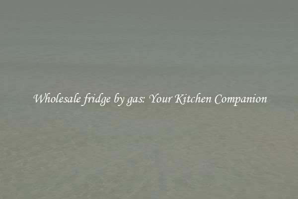 Wholesale fridge by gas: Your Kitchen Companion