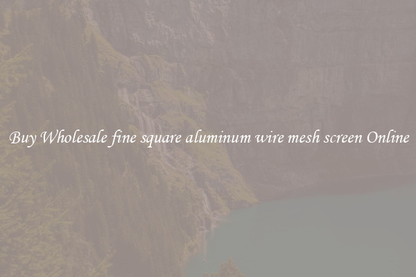 Buy Wholesale fine square aluminum wire mesh screen Online