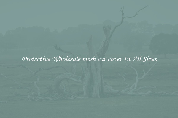 Protective Wholesale mesh car cover In All Sizes