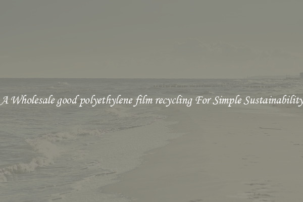  A Wholesale good polyethylene film recycling For Simple Sustainability 