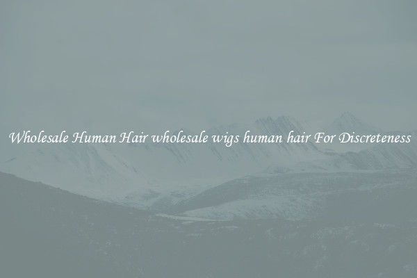 Wholesale Human Hair wholesale wigs human hair For Discreteness