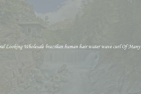 Natural Looking Wholesale brazilian human hair water wave curl Of Many Types