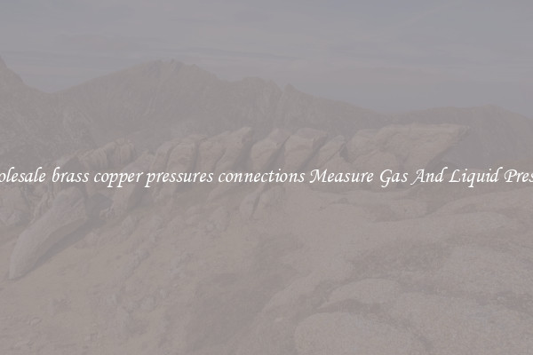Wholesale brass copper pressures connections Measure Gas And Liquid Pressure